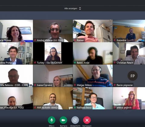 Screenshot of BORIS project meeting with all participants - June 15th, 2021