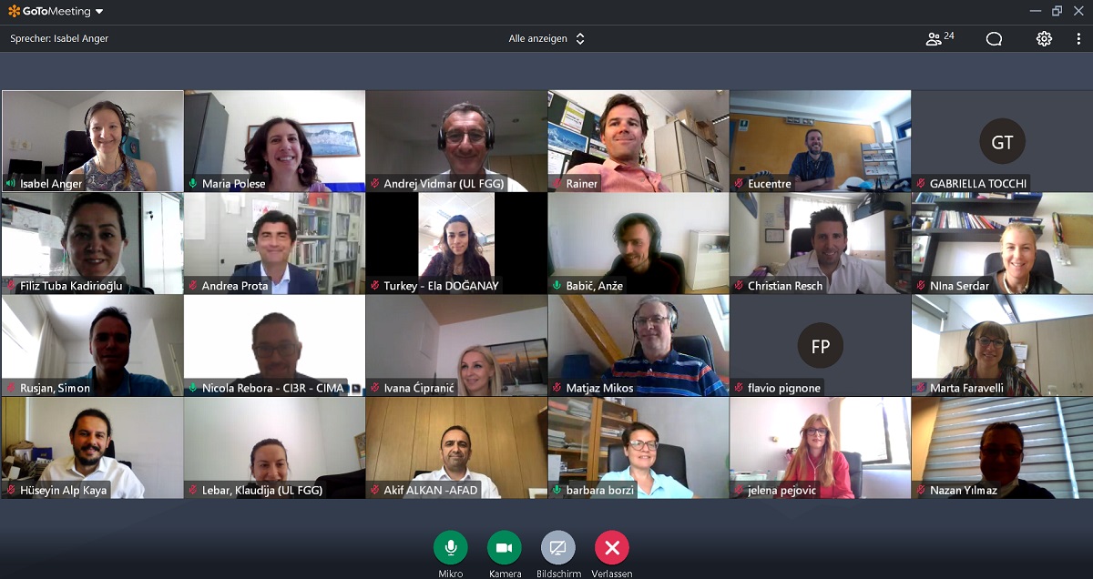 Screenshot of BORIS project meeting with all participants - June 15th, 2021