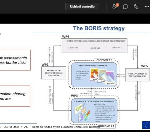 Screenshot BORIS and Trans-Alp EU project synergy meeting